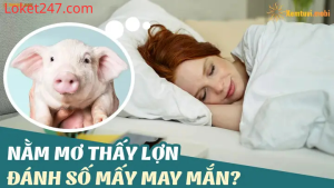 Mơ Thấy Mình Mổ Lợn Là Điềm Gì?