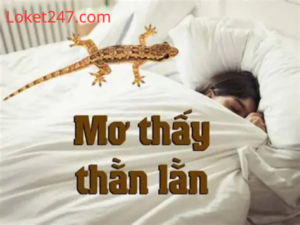 Mơ Thấy Con Thằn Lằn